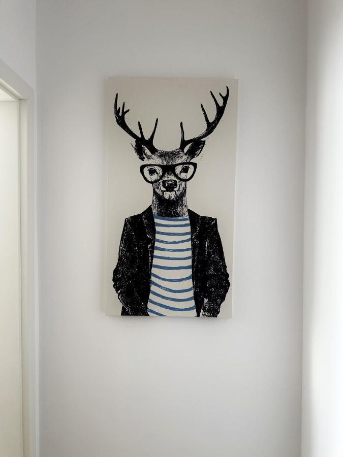 Koa - Deer Studio * Braşov