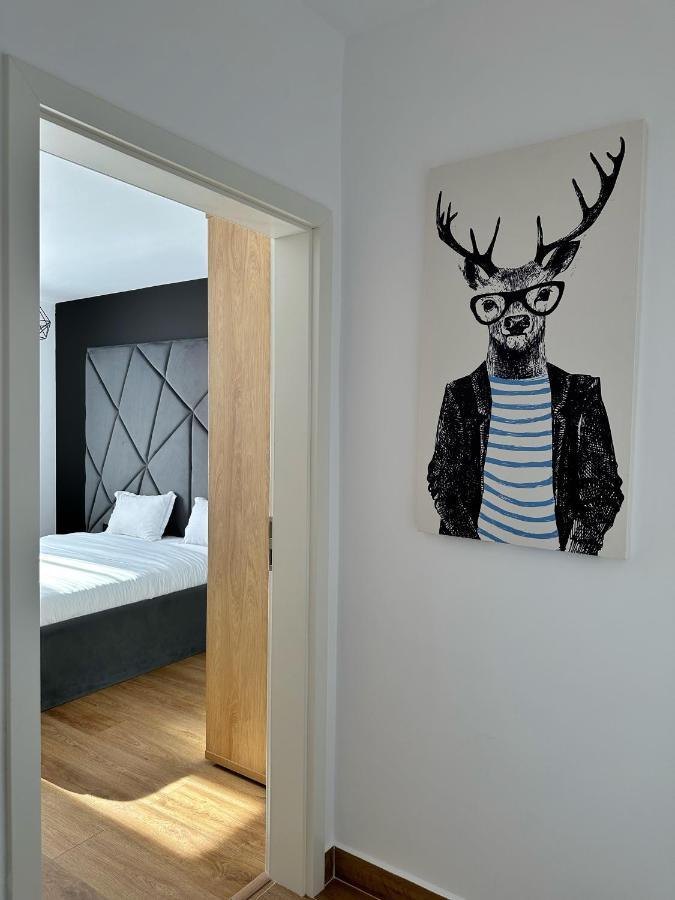 Koa - Deer Studio * Braşov
